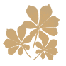 images/avatars/avatar-932.png